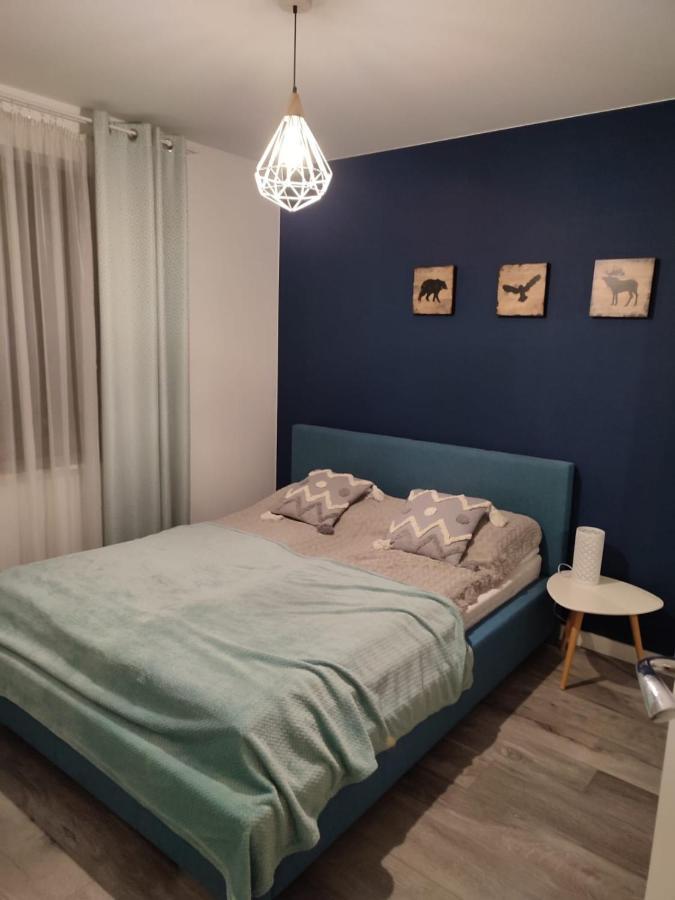 Apartamenty Szczawnica A2 エクステリア 写真